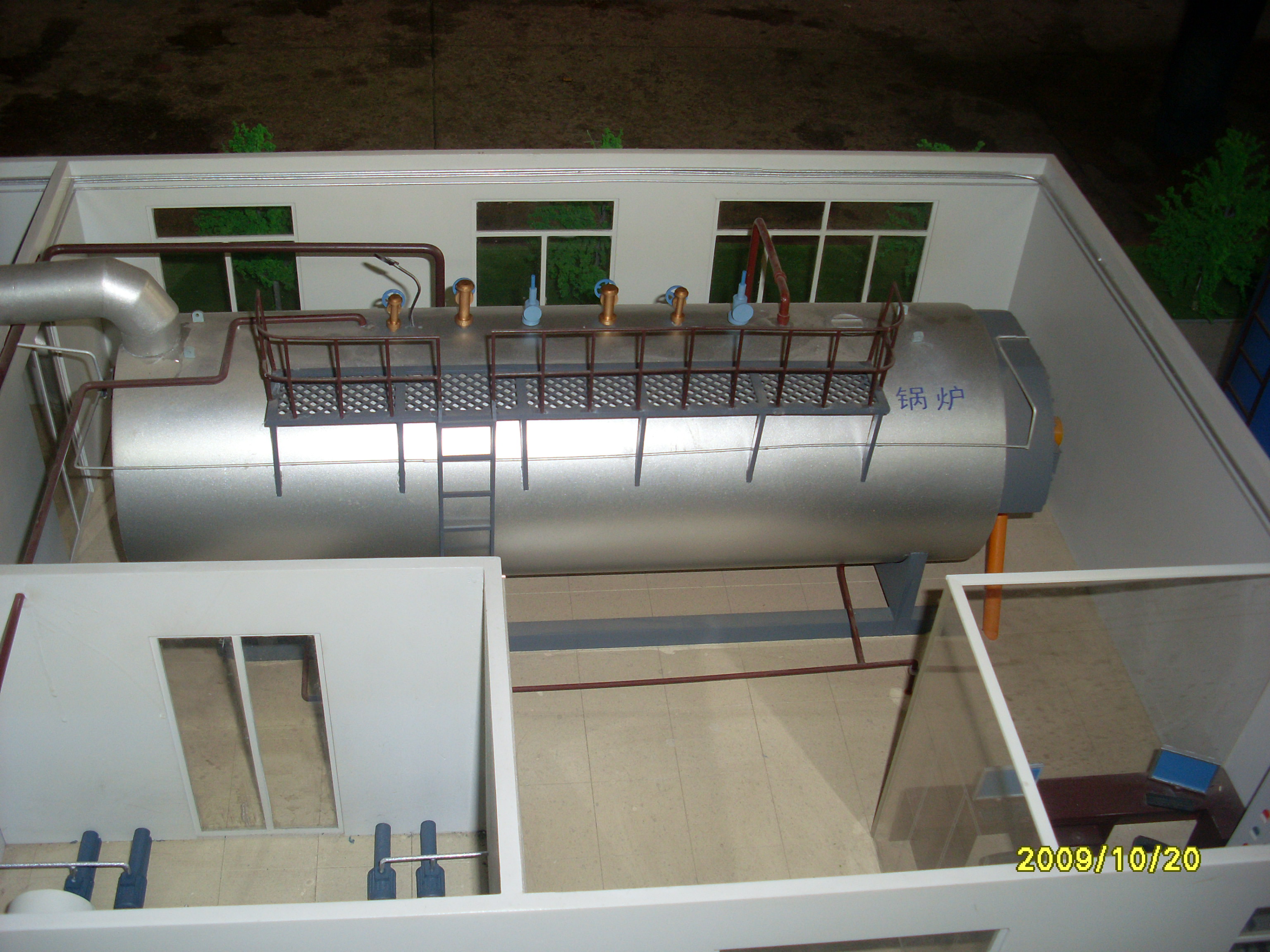 SL372725.JPG